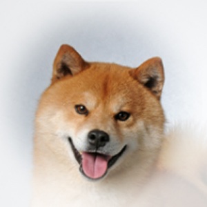 卷曲厚实毛