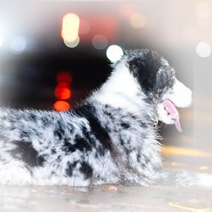 直腿型
